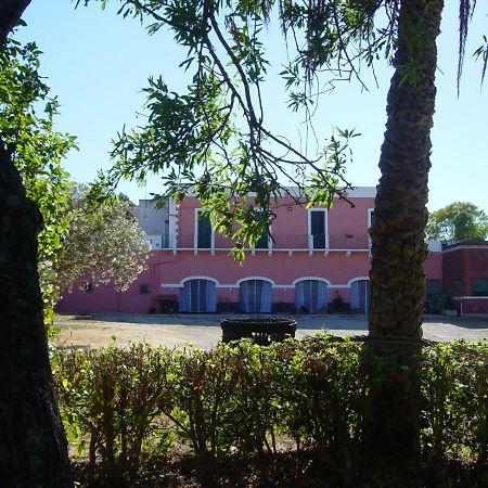 Tenuta Argiano Mesagne Bagian luar foto