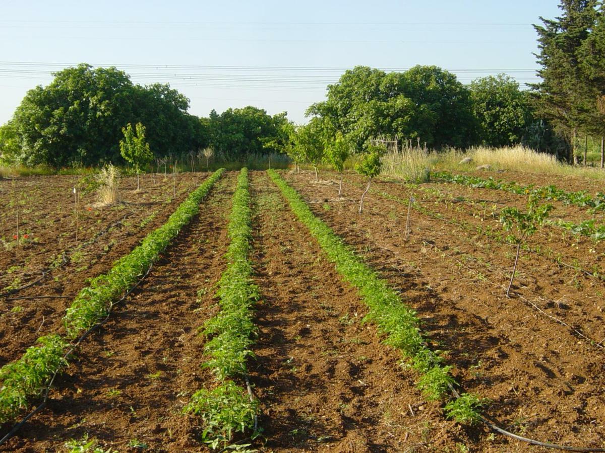 Tenuta Argiano Mesagne Bagian luar foto