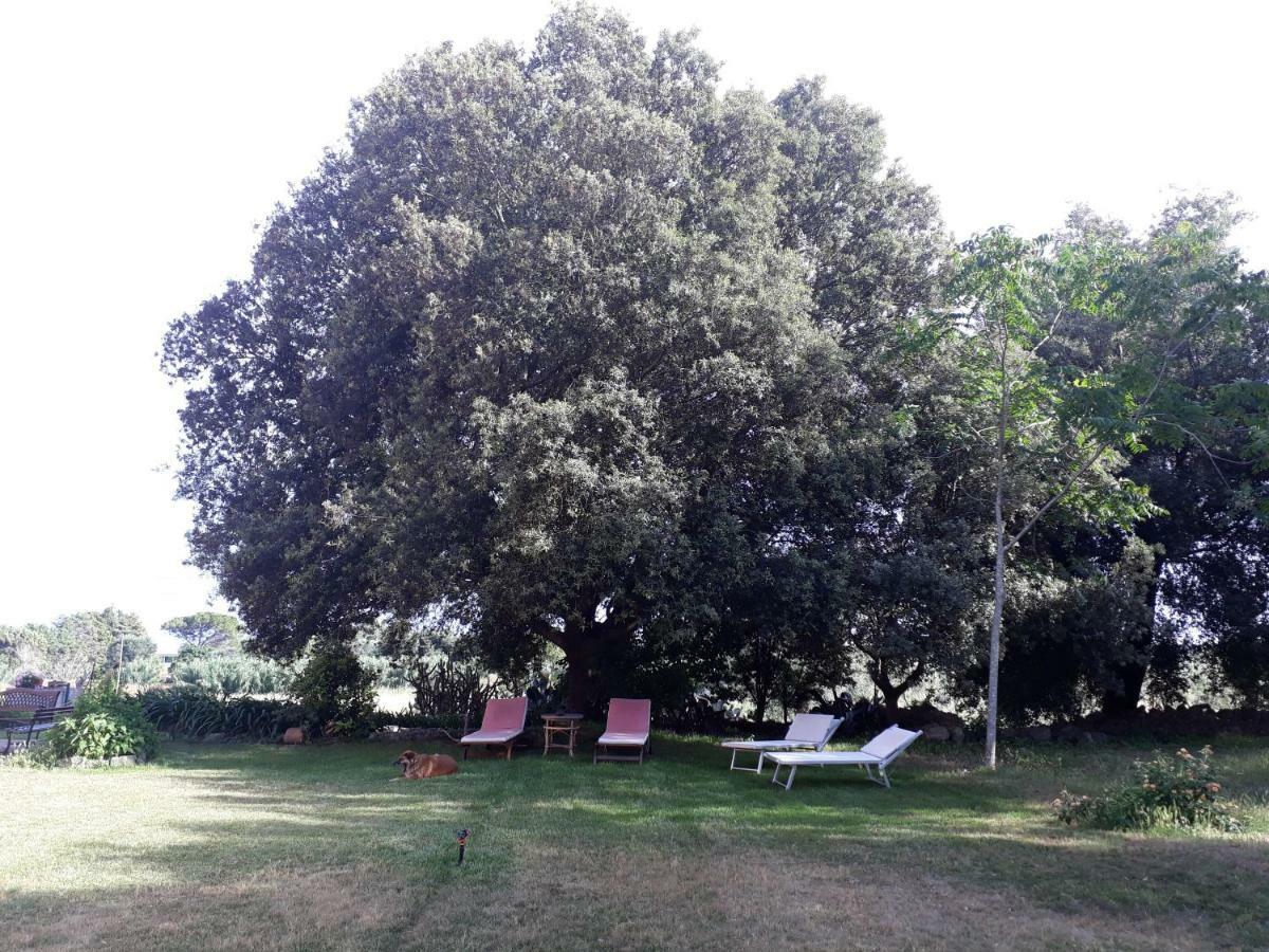 Tenuta Argiano Mesagne Bagian luar foto