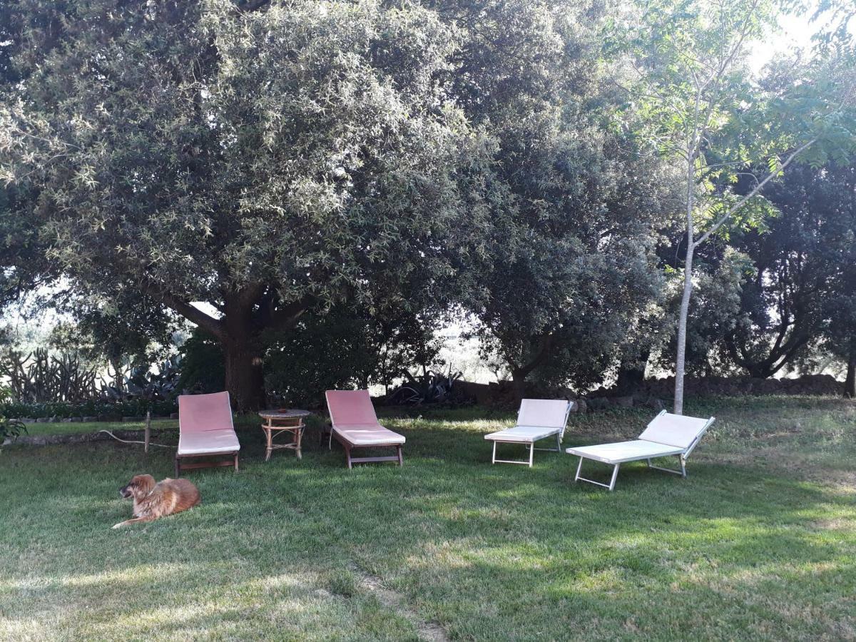 Tenuta Argiano Mesagne Bagian luar foto